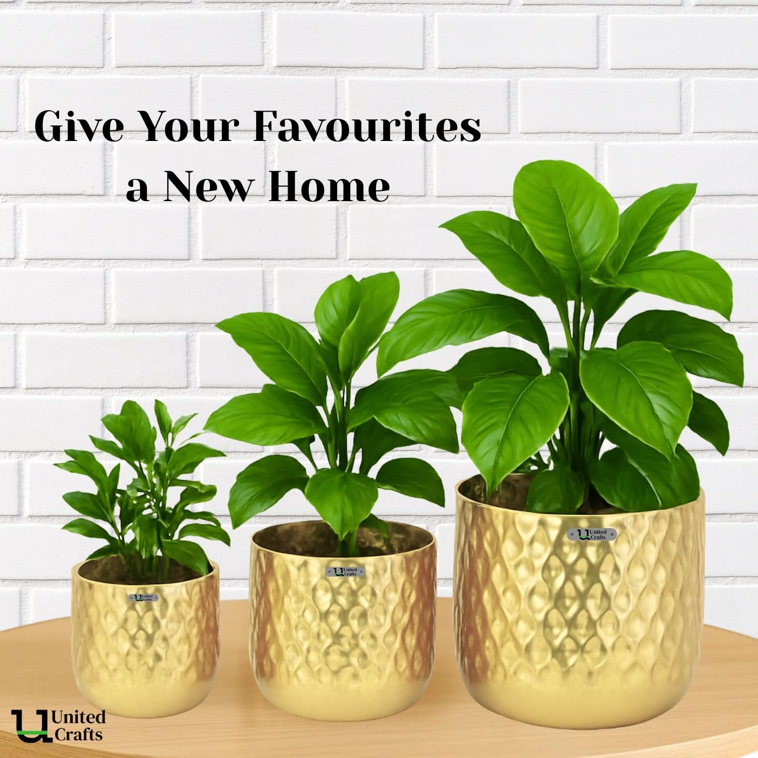 Diamond Planter – Unique Diamond Design Pot for Indoor & Outdoor Plants