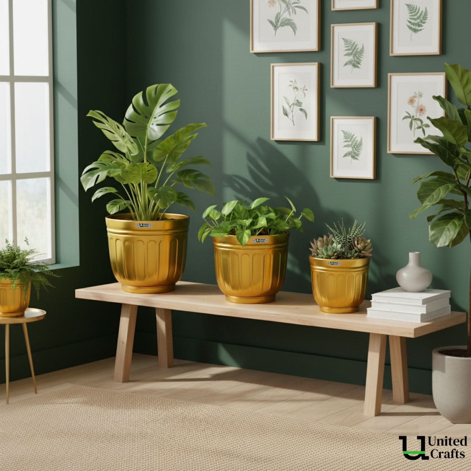 Bloom Planter – Unique Bloom Design Pot for Indoor & Outdoor Plants