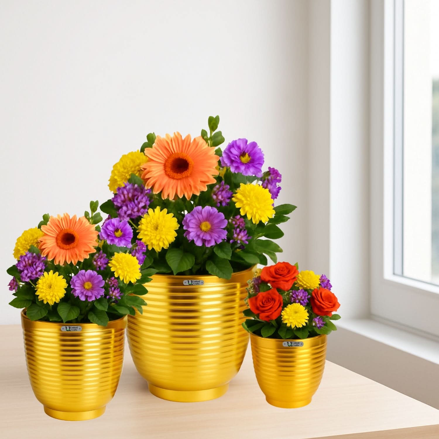 Rings Planter – Unique Rings Design Pot for Indoor & Outdoor Plants