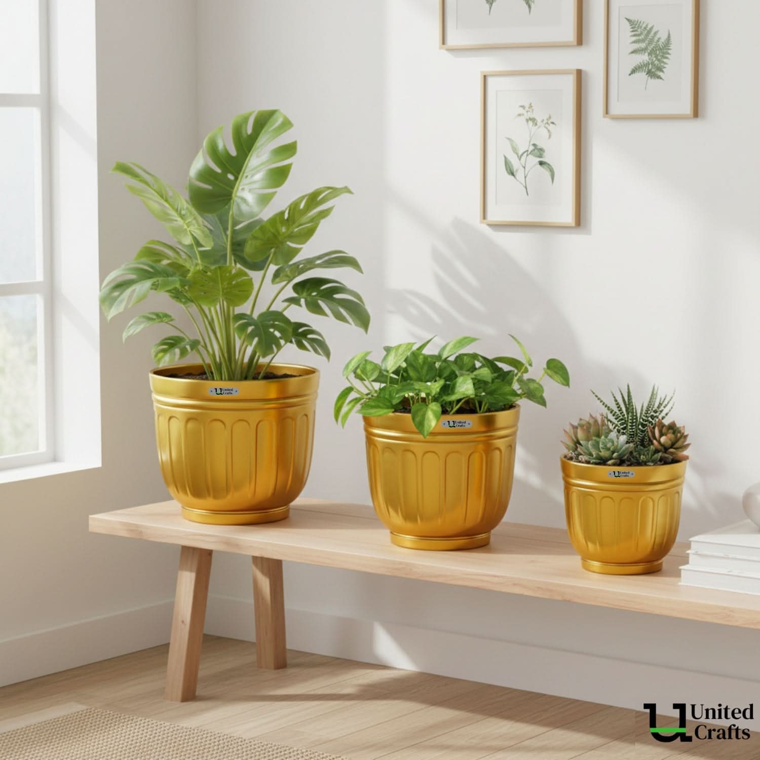 Bloom Planter – Unique Bloom Design Pot for Indoor & Outdoor Plants