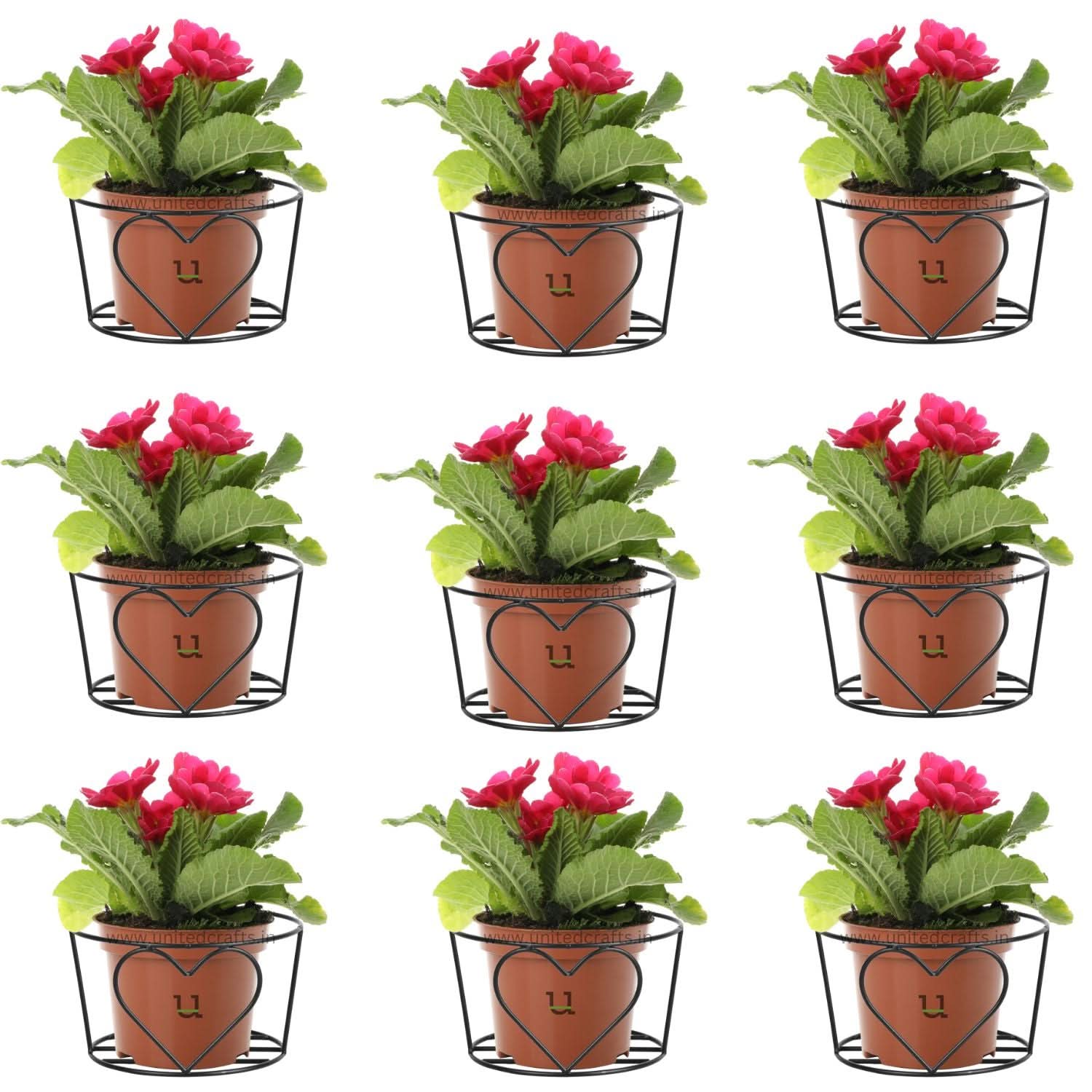 UnitedCrafts Heart Railings Stands for Balcony & Home Decoration