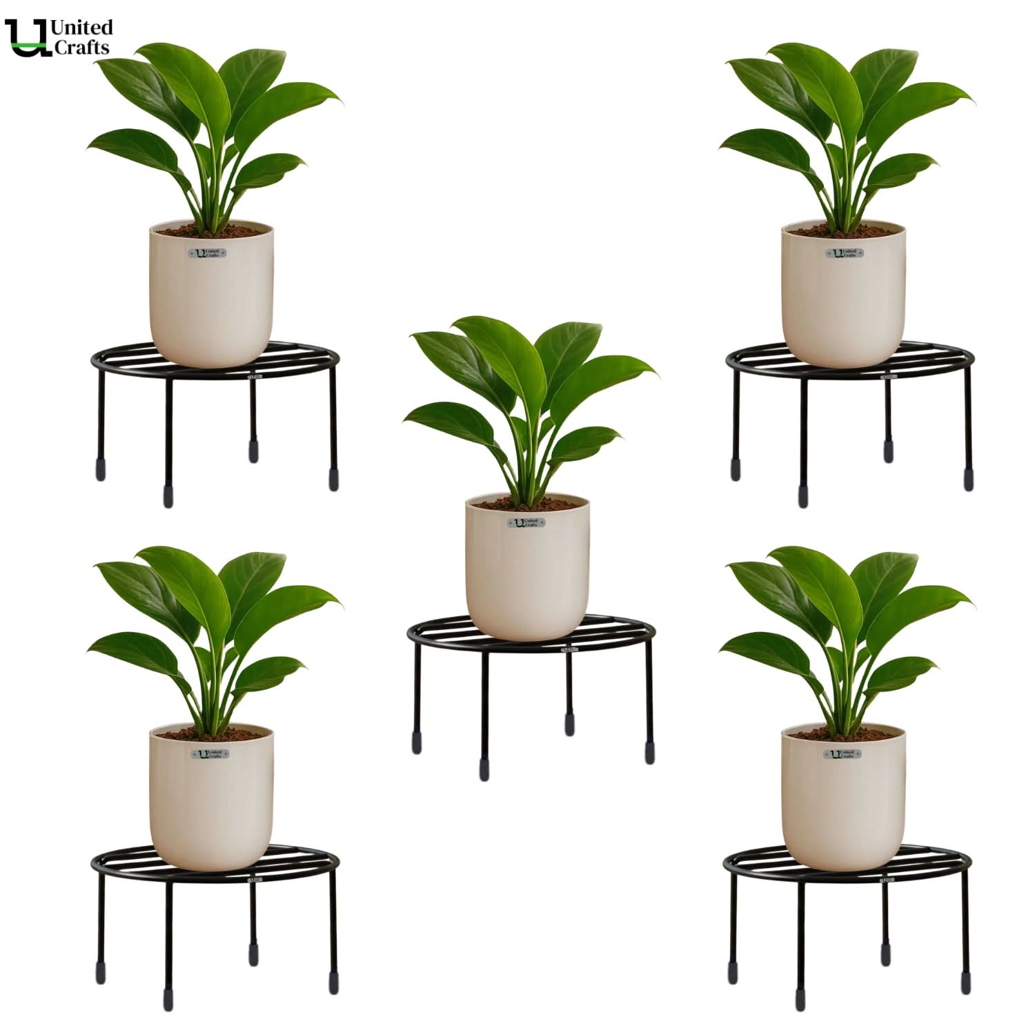 UnitedCrafts Driss Round Pot Stand/High-Quality Stands (Black)