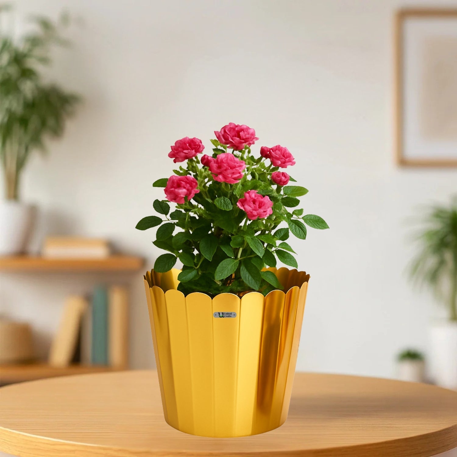 Planters