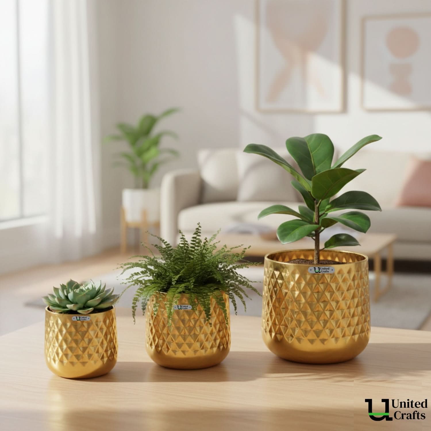 Diamond Planter – Unique Diamond Design Pot for Indoor & Outdoor Plants