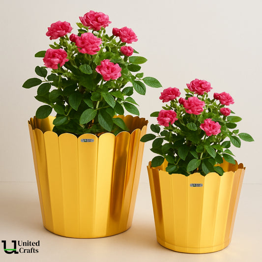 Meteor Planter – Unique Meteor Design Pot for Indoor & Outdoor Plants