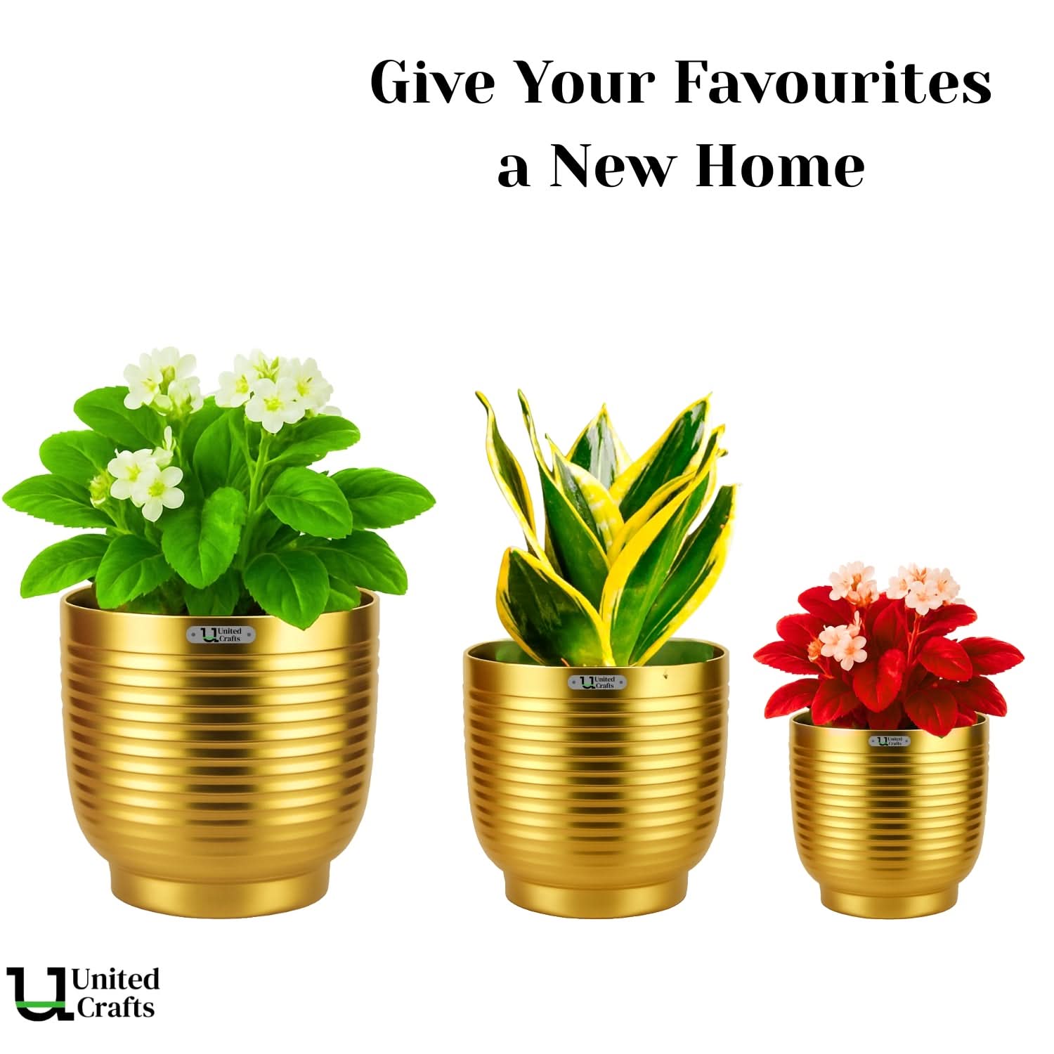 Rings Planter – Unique Rings Design Pot for Indoor & Outdoor Plants