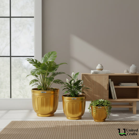 Bloom Planter – Unique Bloom Design Pot for Indoor & Outdoor Plants