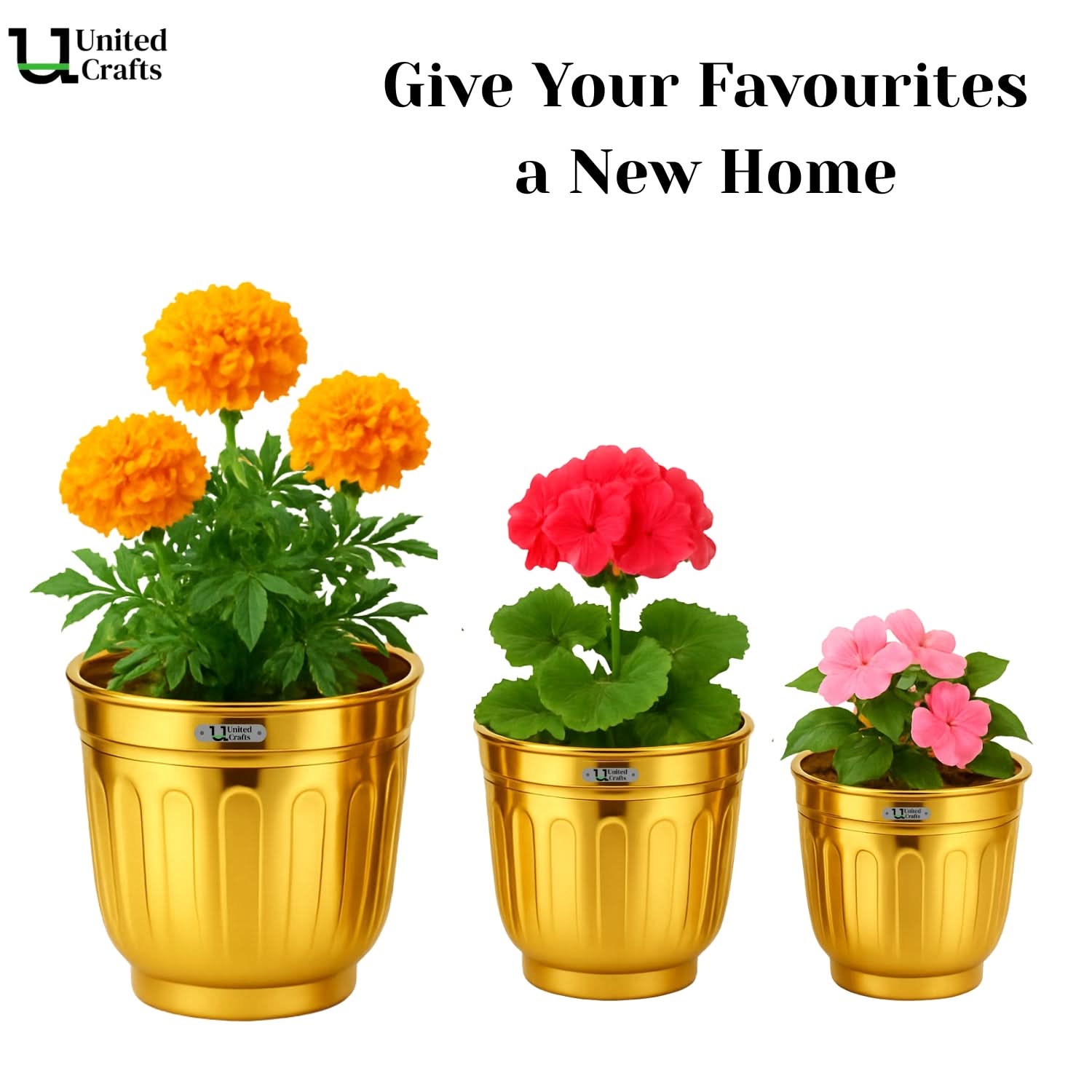 Bloom Planter – Unique Bloom Design Pot for Indoor & Outdoor Plants