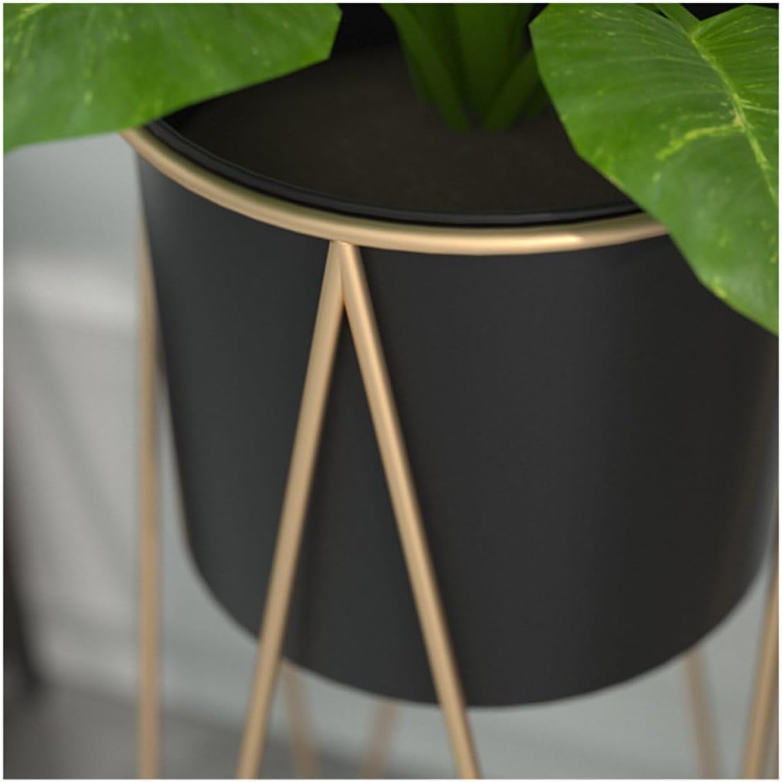 Luxury Metal Wire Planter Stand for Home Décor (Gold & Black Set of 2)