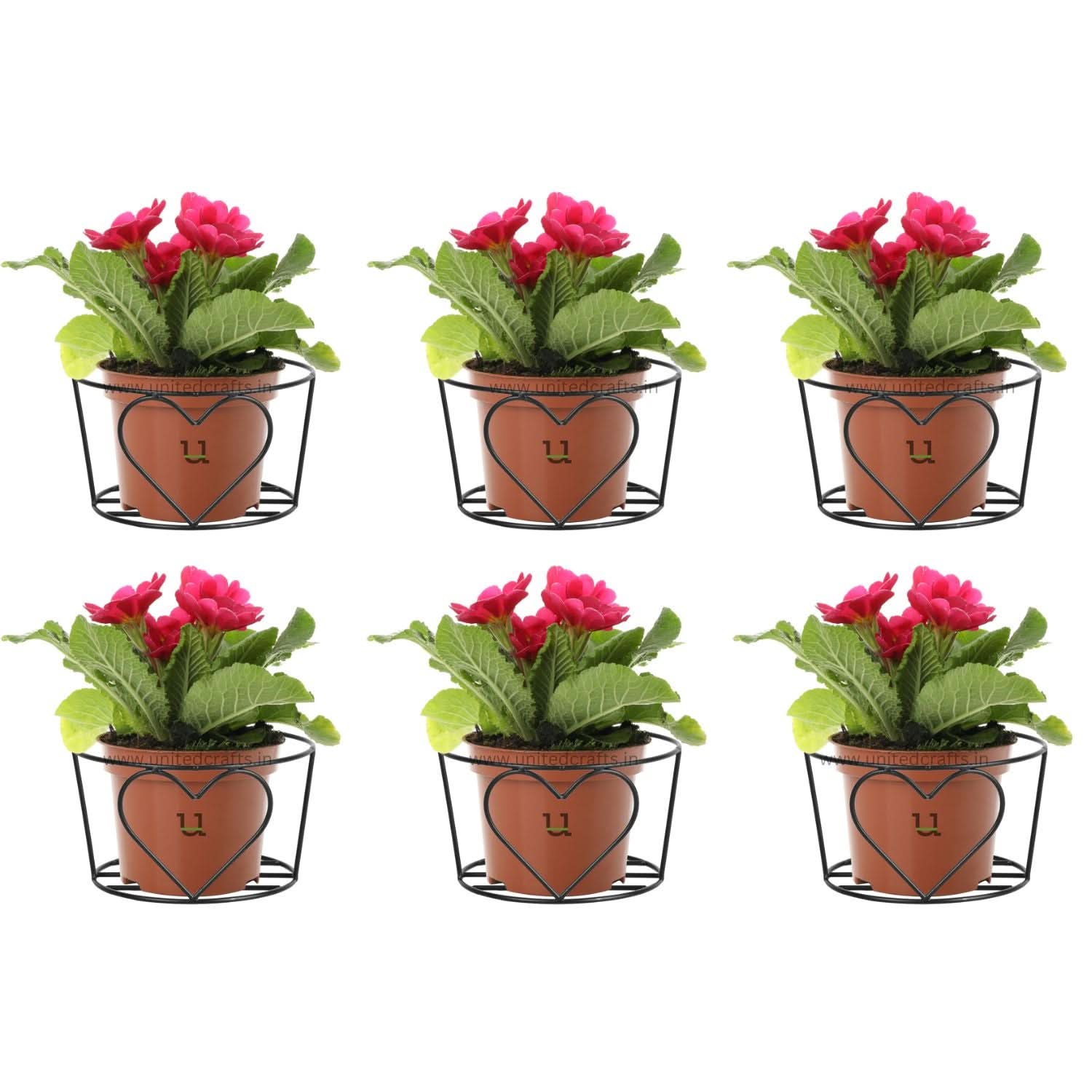 UnitedCrafts Heart Railings Stands for Balcony & Home Decoration