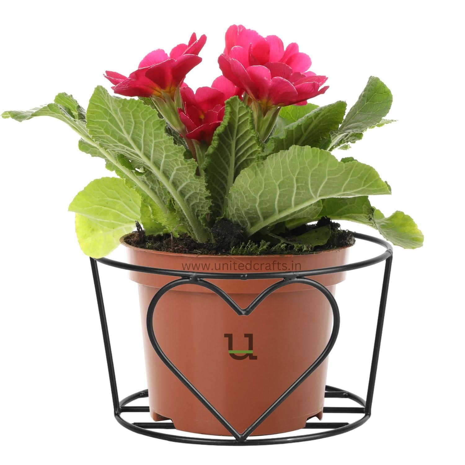 UnitedCrafts Heart Railings Stands for Balcony & Home Decoration